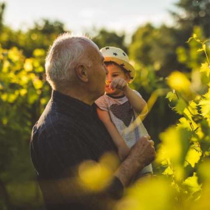 Elderly, retired man carrying his grandchild in a garden