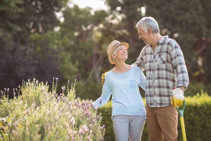 Happy older couple standing in their garden